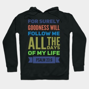 For Surely Goodness Will Follow Me Psalm 23:6 Hoodie